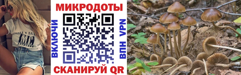нарко площадка как зайти  MEGA онион  Уяр  Галлюциногенные грибы ЛСД 